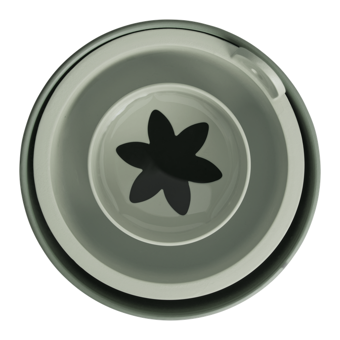 amazing avocado pot blad groen